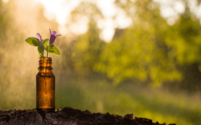 Can Aromatherapy Heal You?